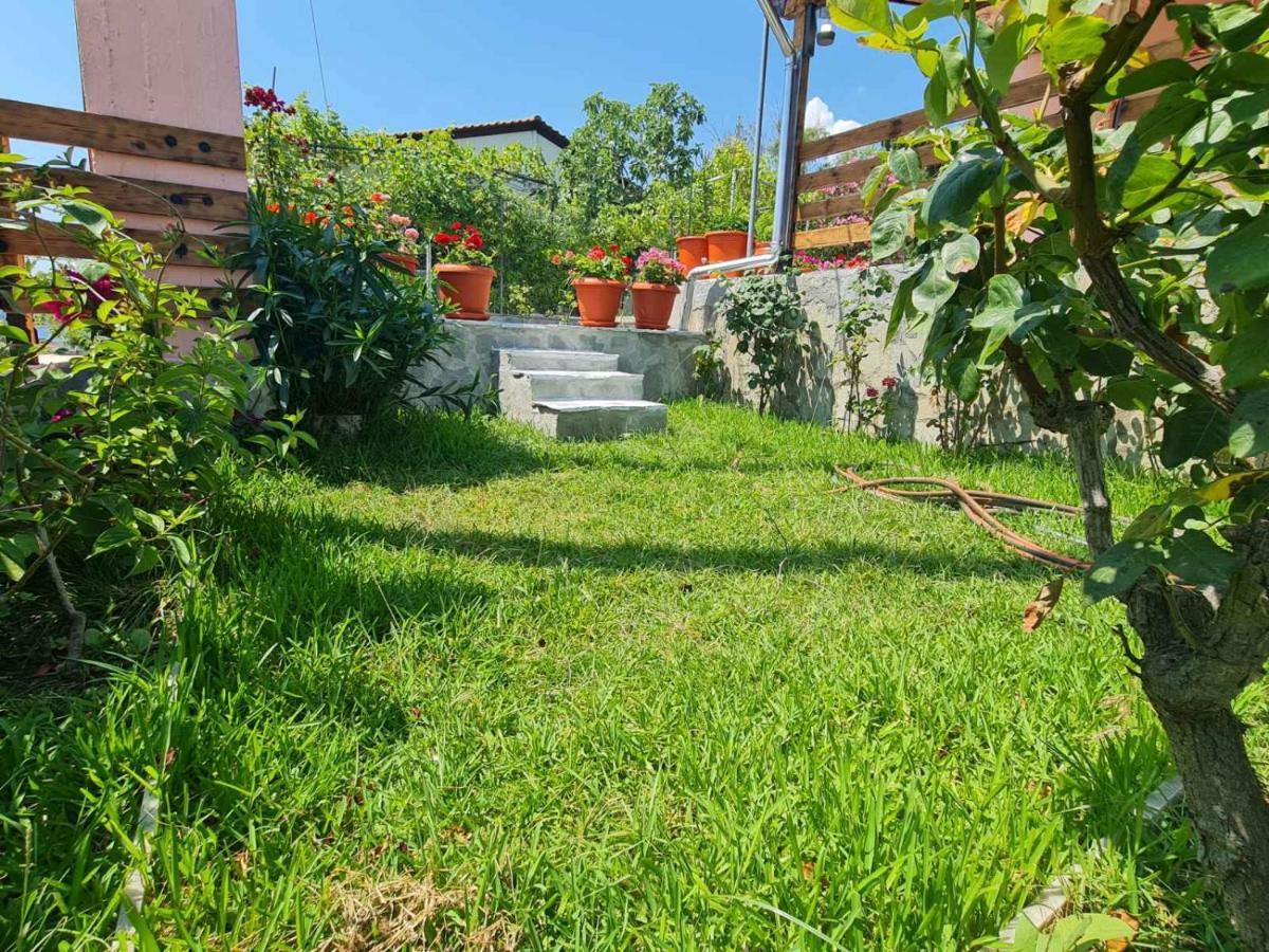 PalaiónTsiflíkionStella'S Garden别墅 外观 照片