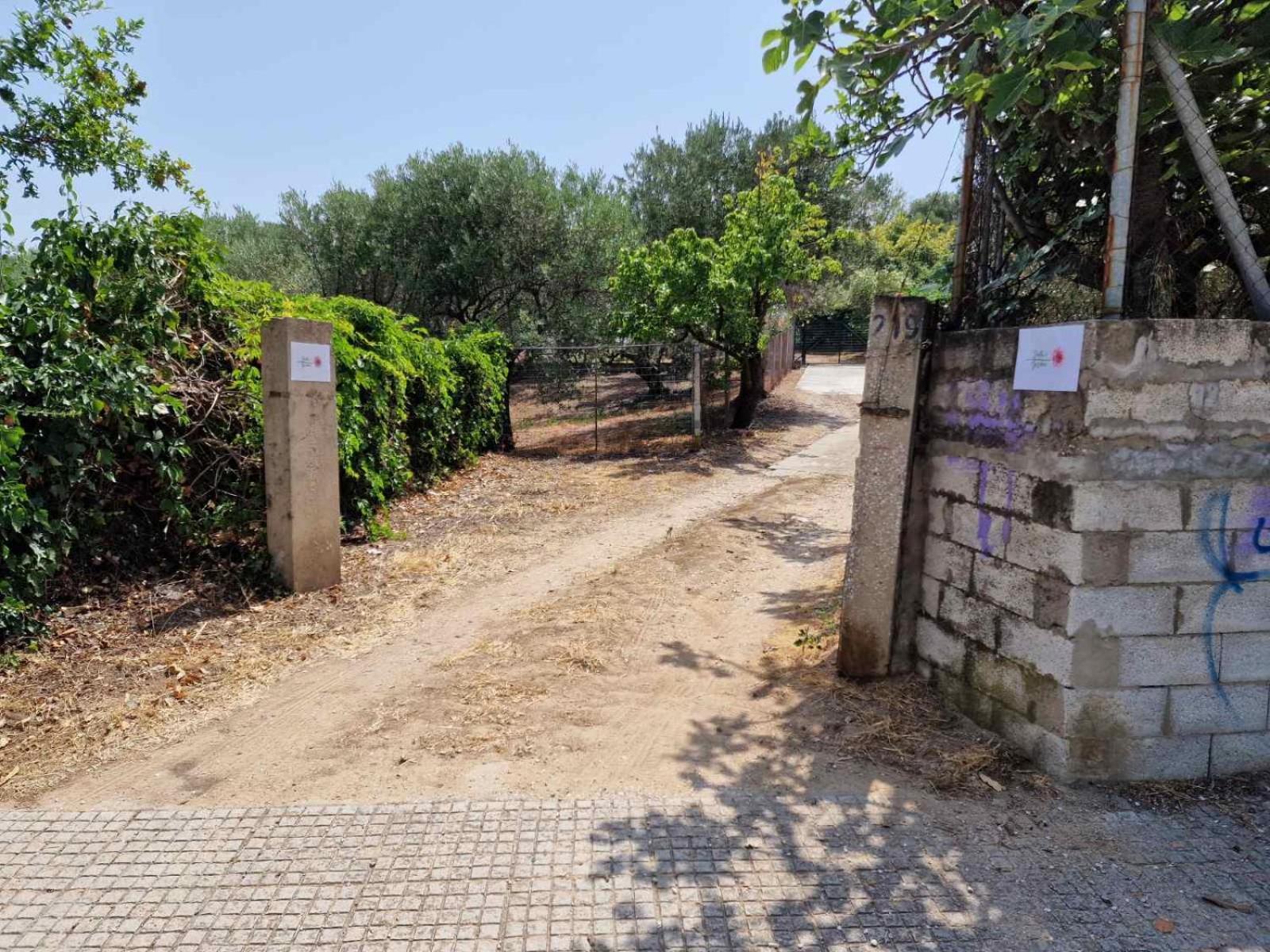 PalaiónTsiflíkionStella'S Garden别墅 外观 照片